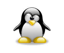 linux server